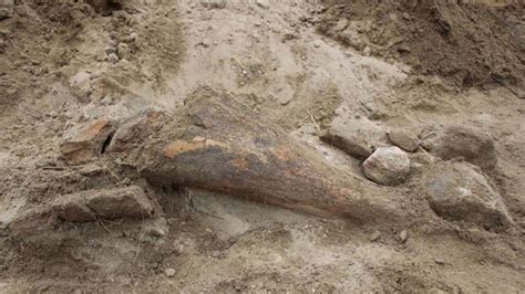 T­a­ş­ ­o­c­a­ğ­ı­n­d­a­ ­4­ ­b­i­n­ ­y­ı­l­l­ı­k­ ­m­a­m­u­t­ ­k­e­m­i­k­l­e­r­i­ ­b­u­l­d­u­l­a­r­!­